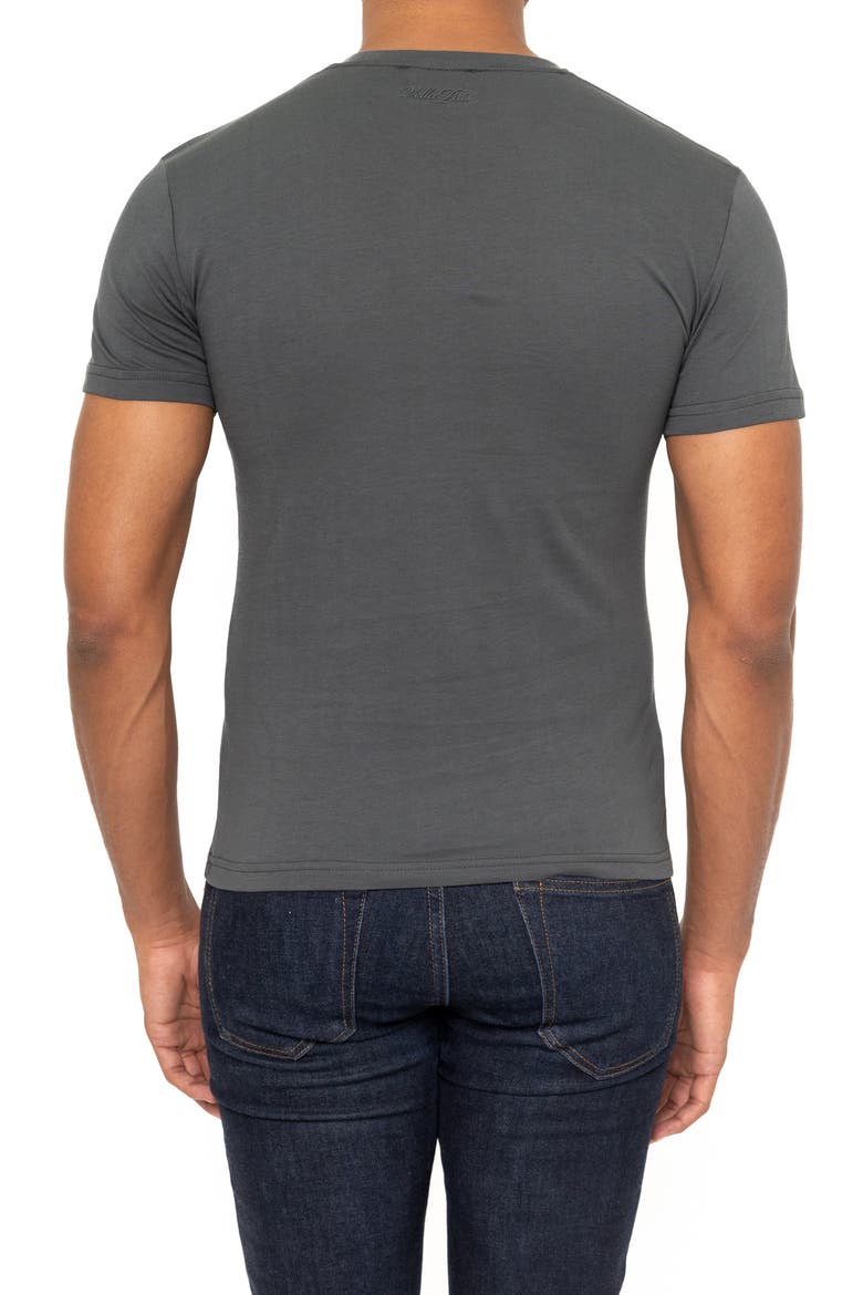 Amiens Crewneck Cotton T-Shirt, Alternate, color, GREY