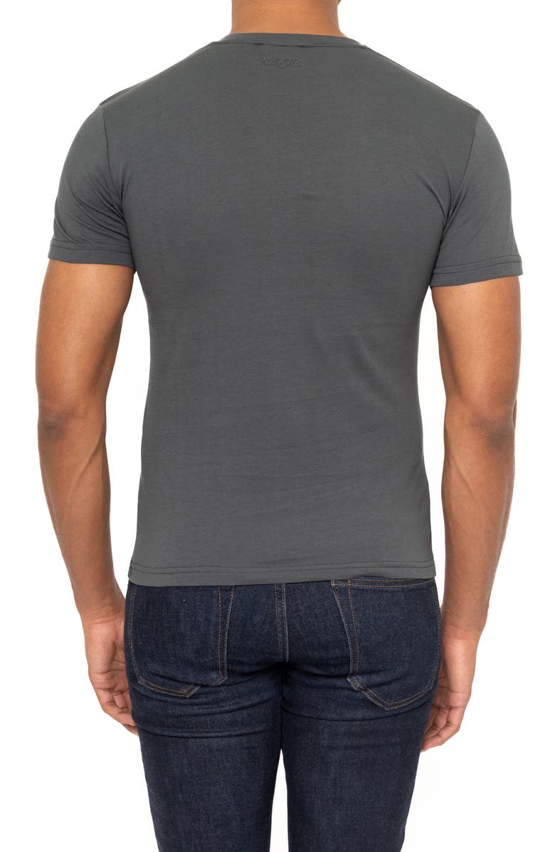 VELLAPAIS Amiens Crewneck Cotton T-Shirt, Alternate, color, Grey