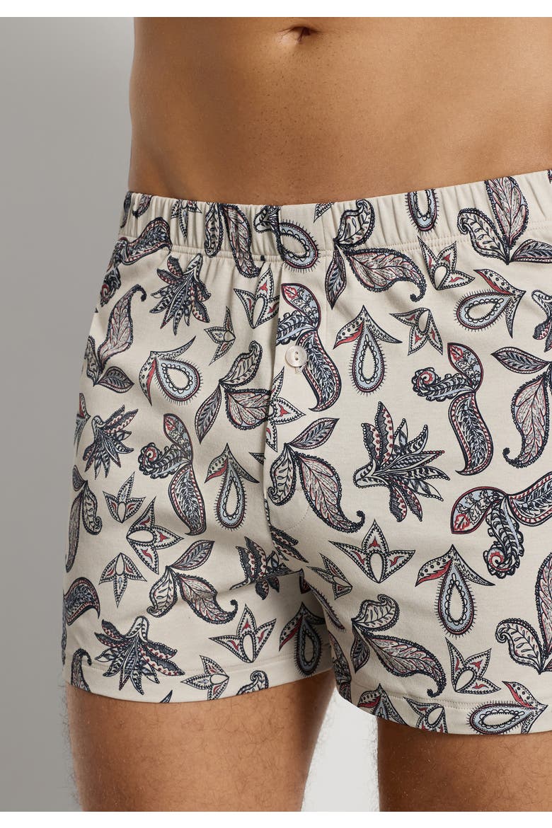 Fancy Jersey Cotton Knit Boxers, Alternate, color, Maritime Paisley