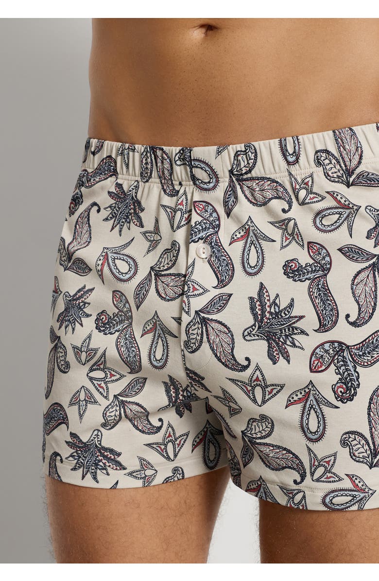 Hanro Fancy Jersey Cotton Knit Boxers, Alternate, color, Maritime Paisley