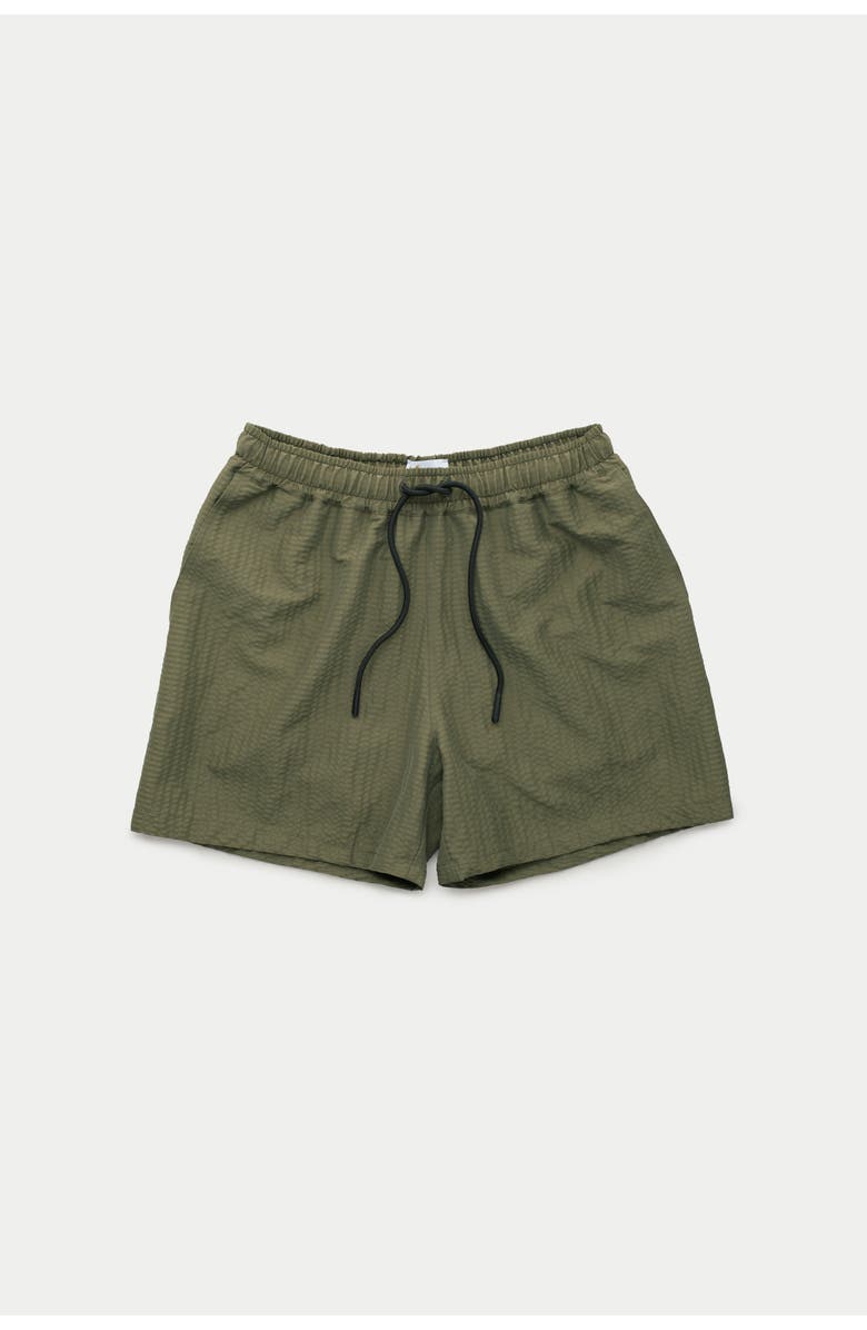 Wolf Vs. Goat (WvG) Swim Shorts 5inch Inseam, Alternate, color, Spearmint And White Stripes
