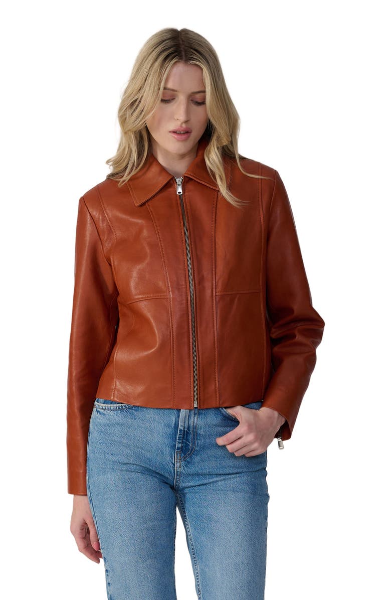 Furniq UK Daisy Leather Jacket, Alternate, color, Whiskey Brown