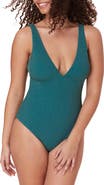 Andie The Augustine Metallic One-Piece Swimsuit