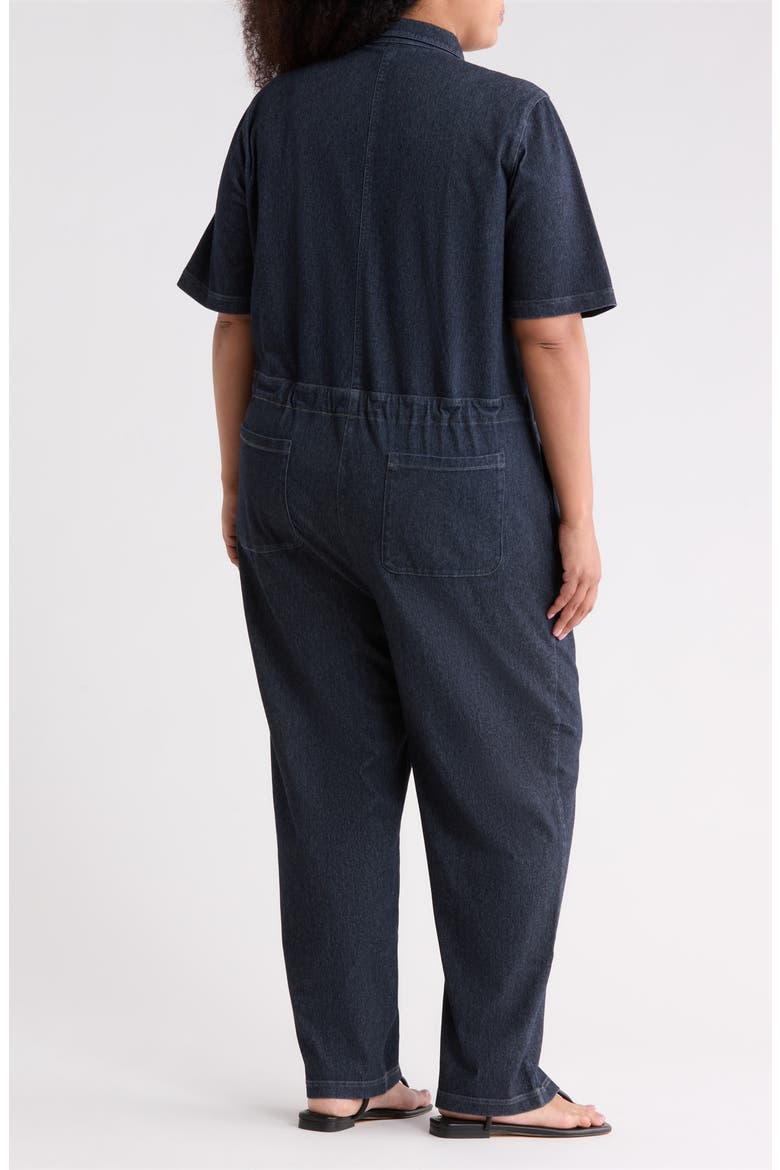 Classic Collar Ankle Jumpsuit, Alternate, color, DARK WASH