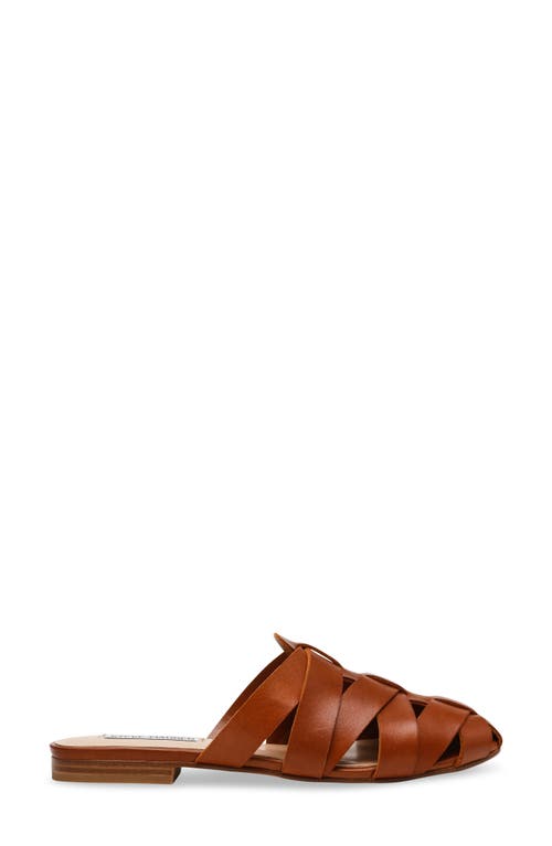 Steve Madden Jansen Mule In Tan Leather