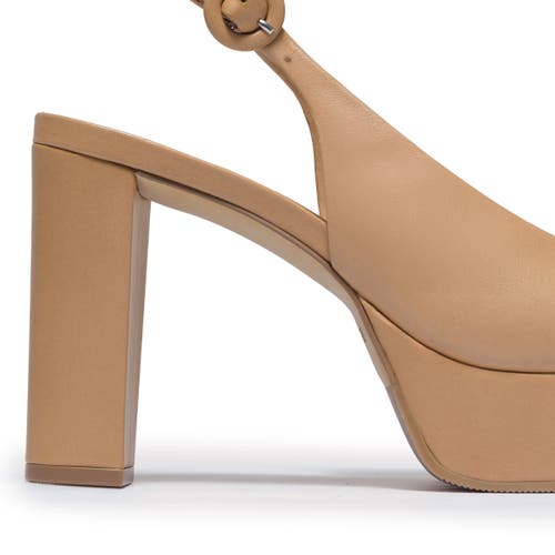 Bernardo Footwear Vega Platform Heel Sandal In Brown