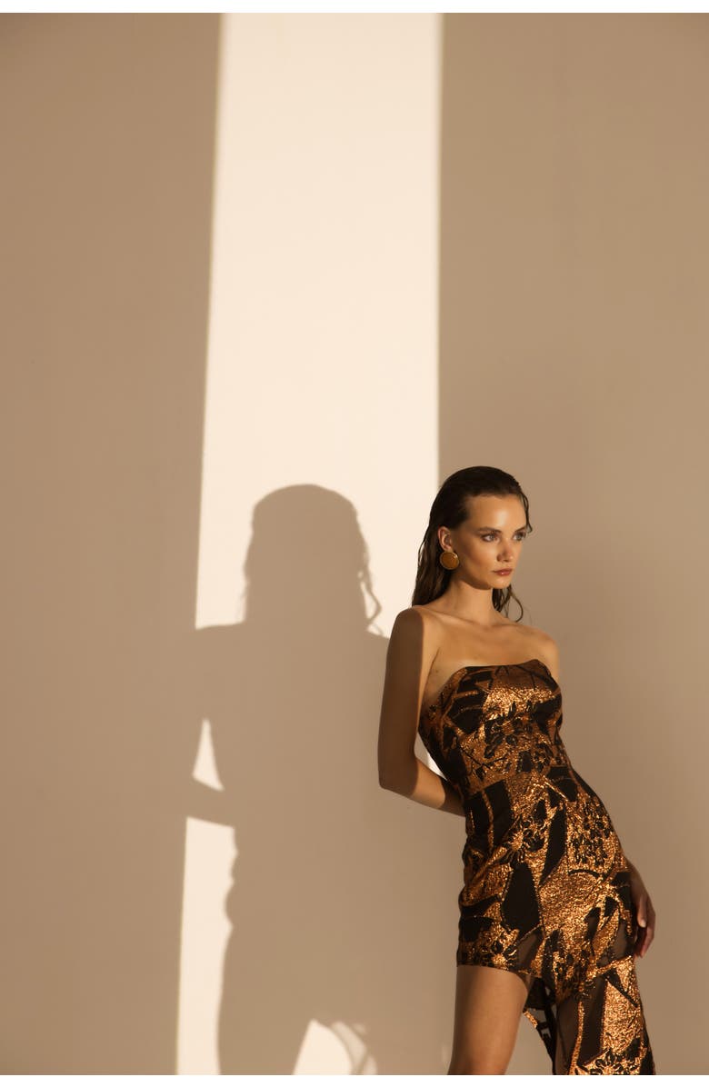 Maeve Terracotta Dress, Alternate, color, 