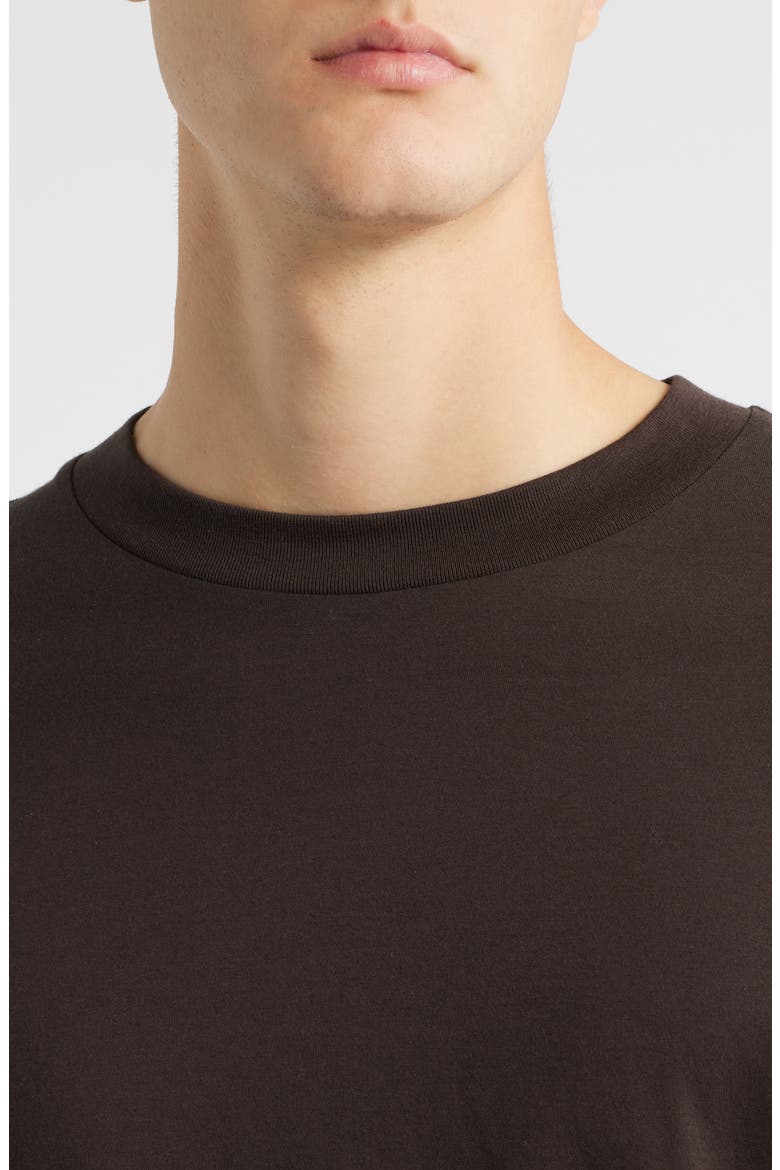 Light Long Sleeve Supima® Cotton T-Shirt, Alternate, color, CHOCOLATE BROWN