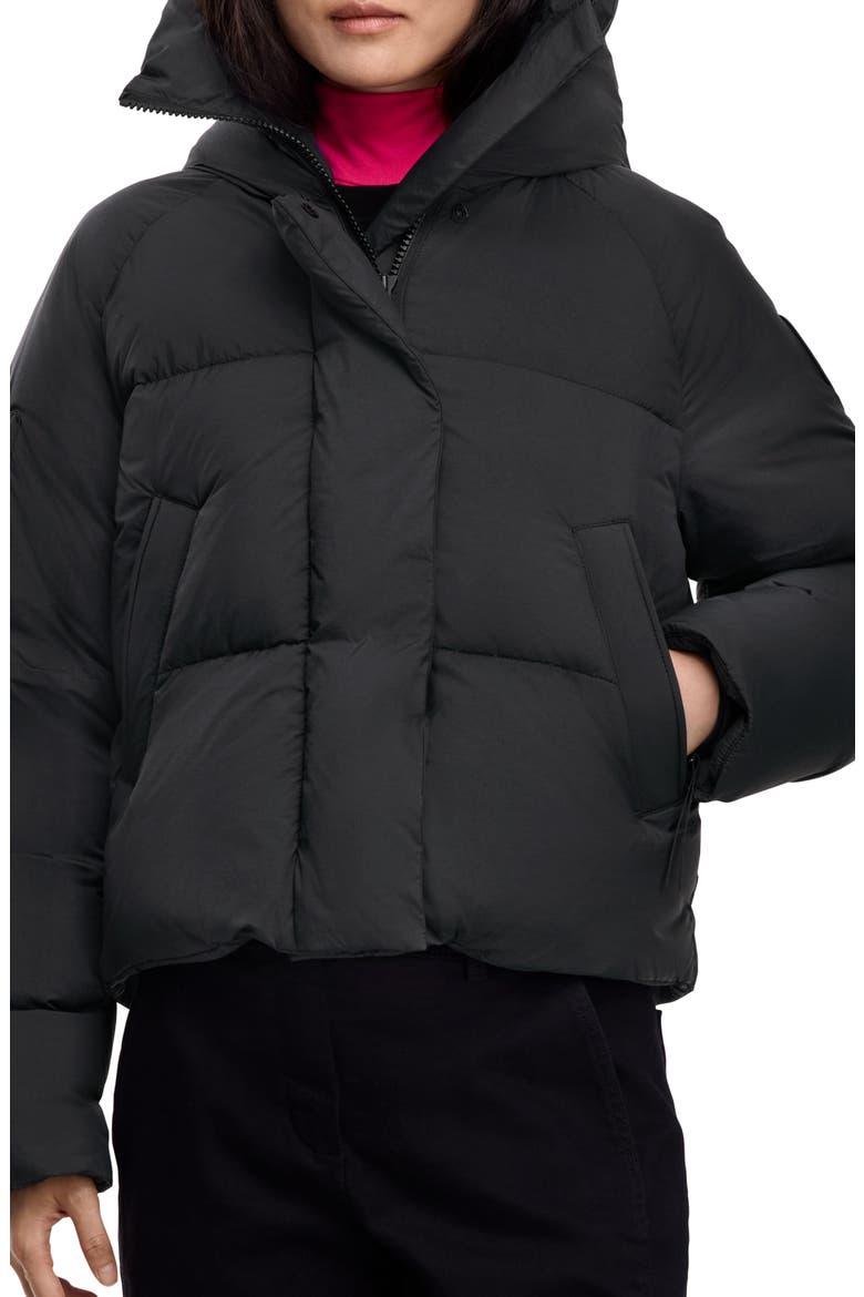 Chilliwack 750 Fill Power Down Puffer Jacket, Main, color, BLACK