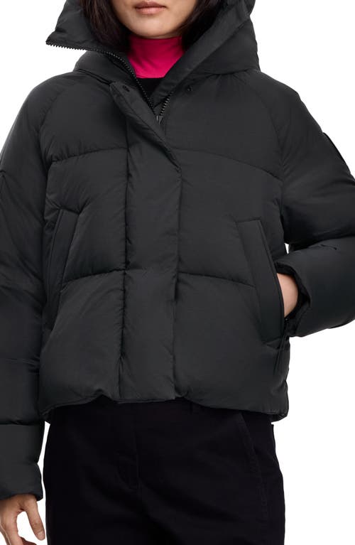 Canada Goose Chilliwack 750 Fill Power Down Puffer Jacket In Black