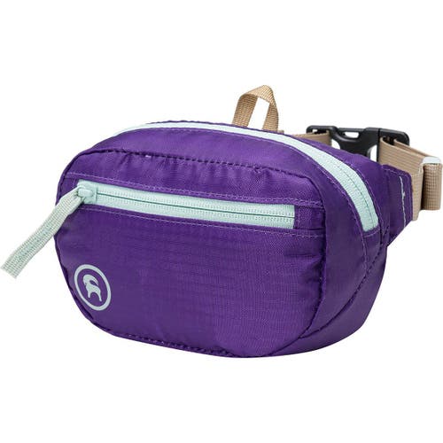 Backcountry Destination 1l Hip Pack In Purple