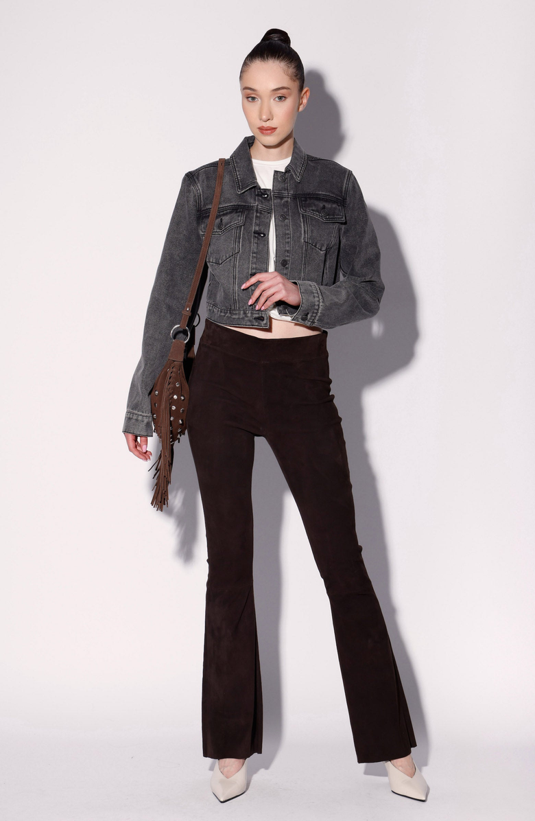 Walter Baker Lexie Pant, Alternate, color, Mocha Suede
