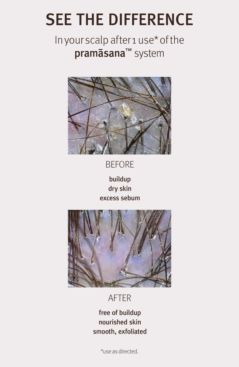 Aveda pramasanaâ„¢ Protective Scalp Concentrate, Alternate, color, 