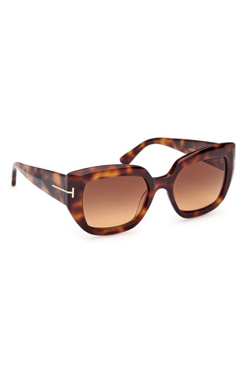 Tom Ford Saltzman 53mm Gradient Butterfly Sunglasses