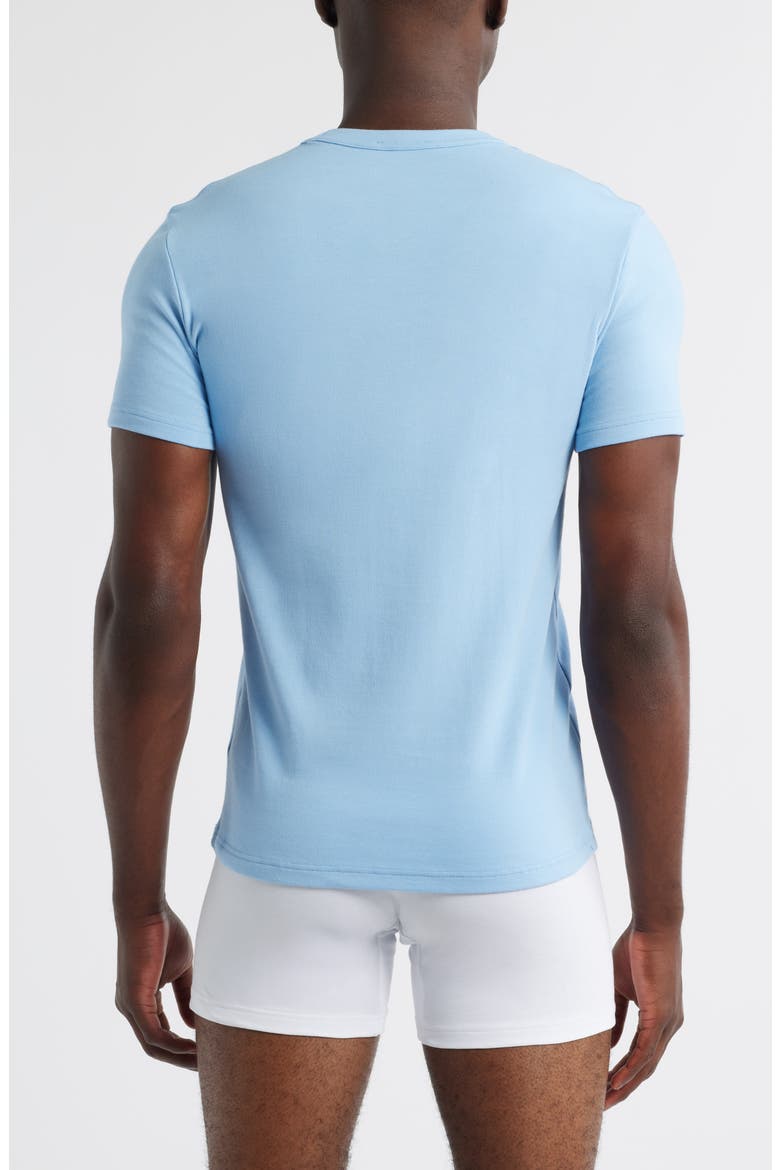 Cotton Jersey Crewneck T-Shirt, Alternate, color, SKY BLUE