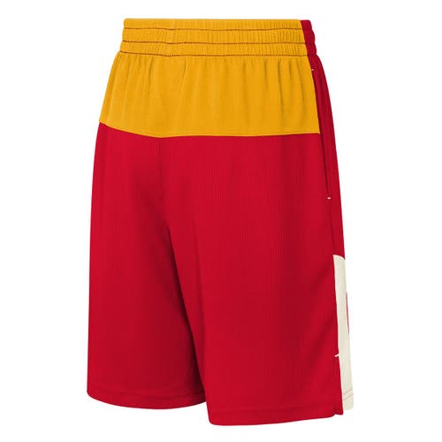 Outerstuff Youth Red Kansas City Chiefs Fandemonium Mesh Shorts In Red