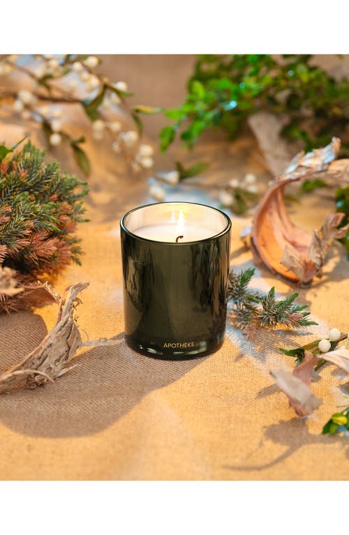 Apotheke Juniper Birch Petite Scented Candle In Green