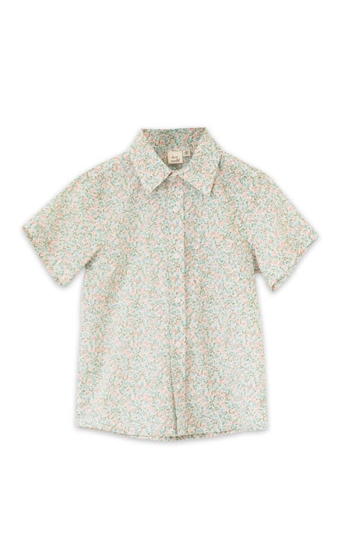 Beet World Boys Collar Shirt In Pastel Green And Peach