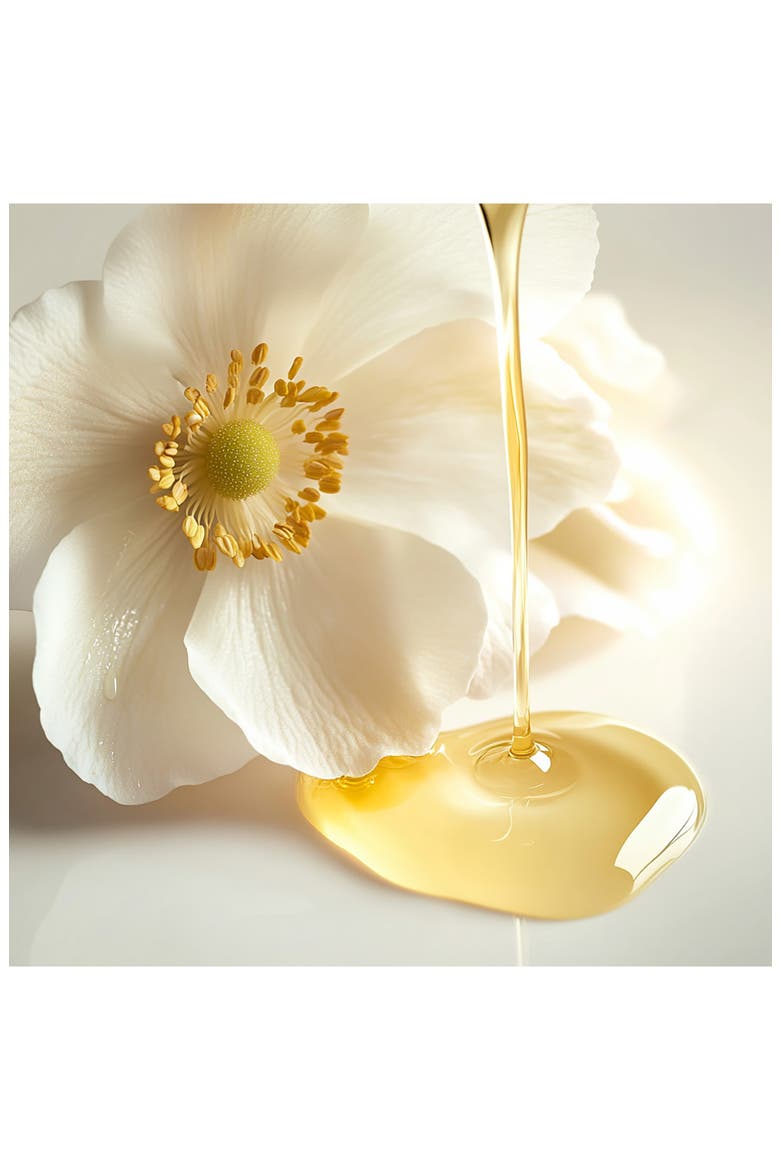 Huile Secret de Beauté, Natural Botanical Oils for Face and Body, Alternate, color, NO COLOR