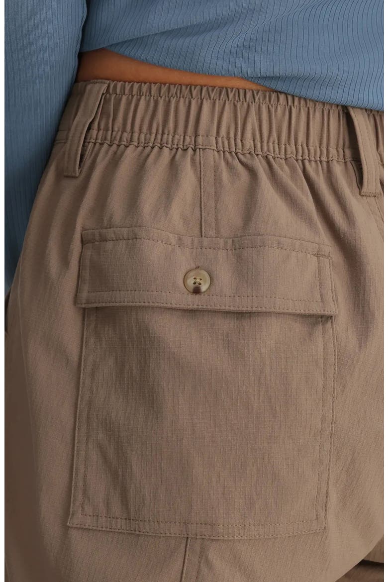 Topogrid Water Resistant Pants, Alternate, color, FOSSIL