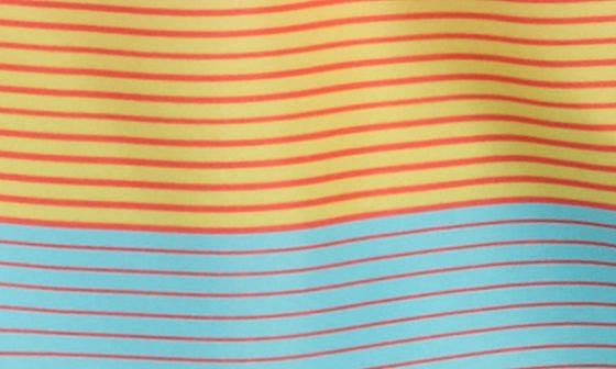 Детские Quiksilver Everyday Mix Stripe Board Shorts — фото 4