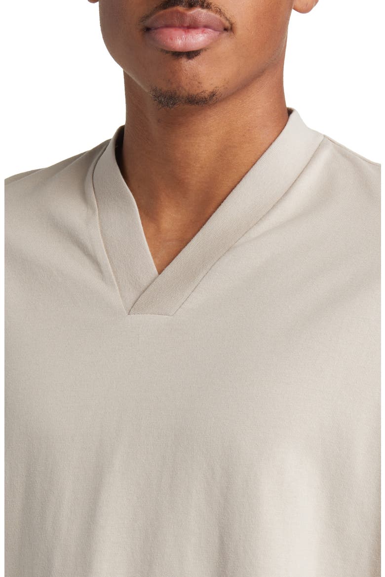 Essentials V-Neck Cotton T-Shirt, Alternate, color, SILVER CLOUD