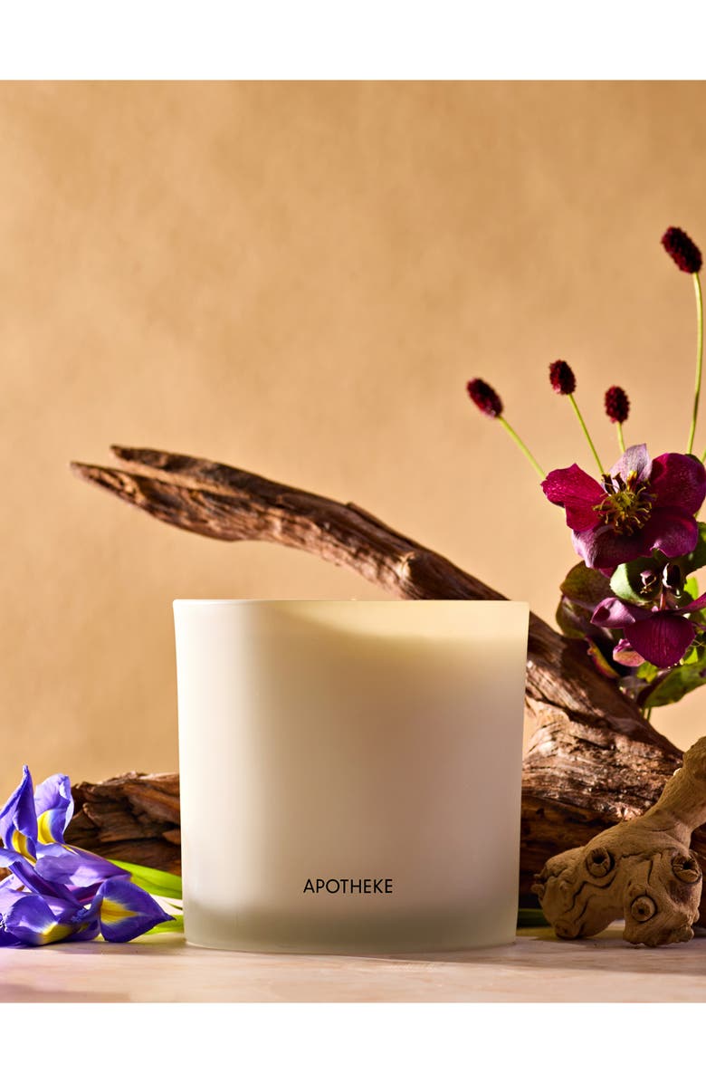 APOTHEKE Black Iris Oak Three-Wick Scented Candle, Alternate, color, White