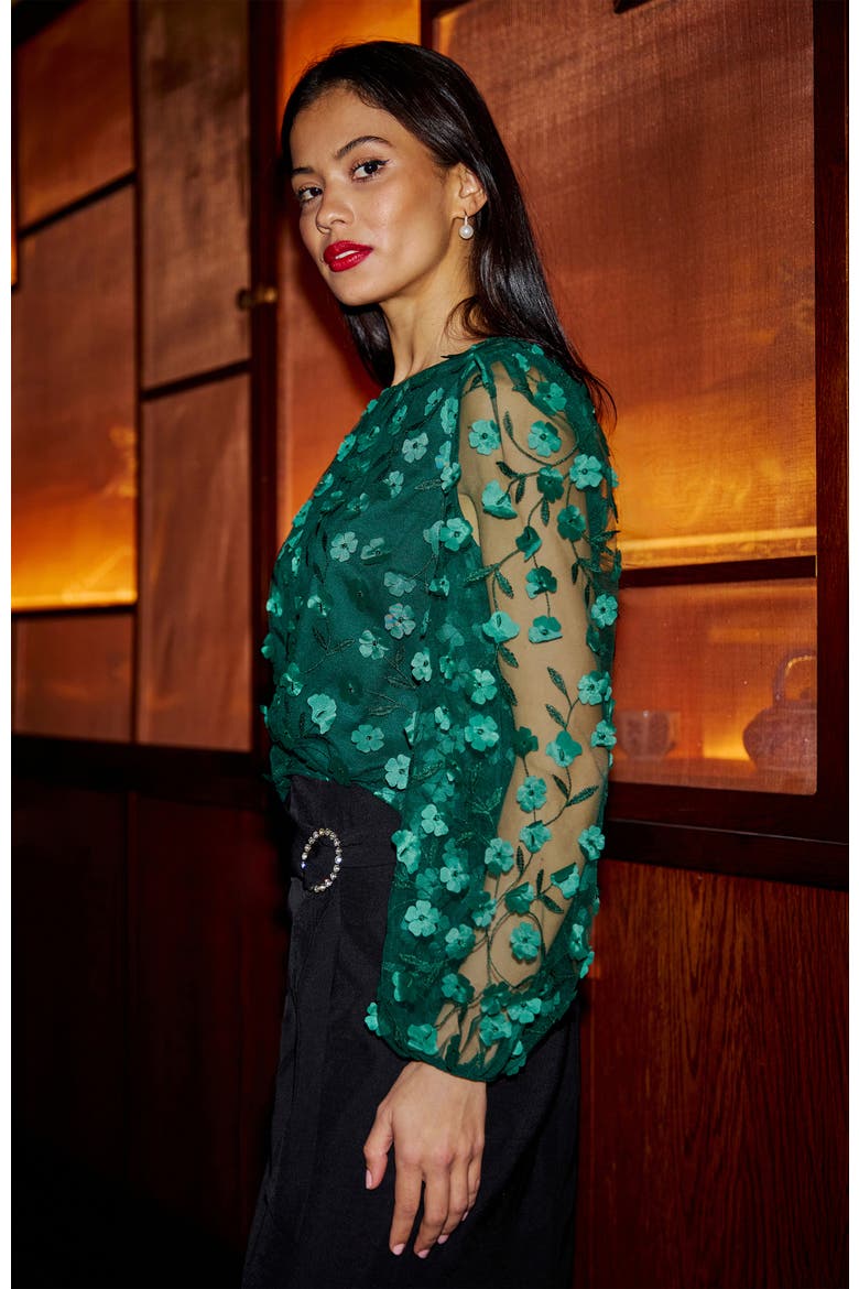 Long Sleeve Sheer Floral Top, Alternate, color, Green