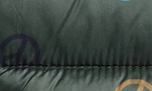 Save The Duck Dag Puffer Jacket In Multi