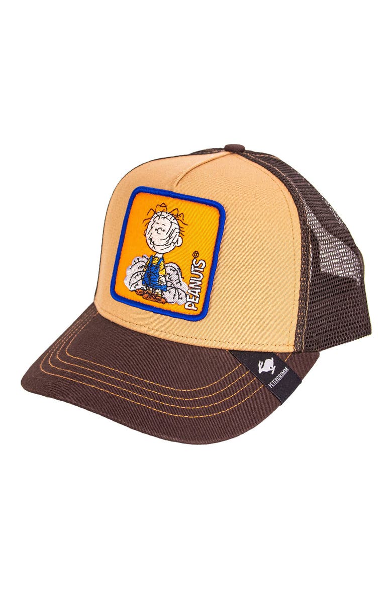 Pig Pen Trucker Hat, Main, color, BROWN