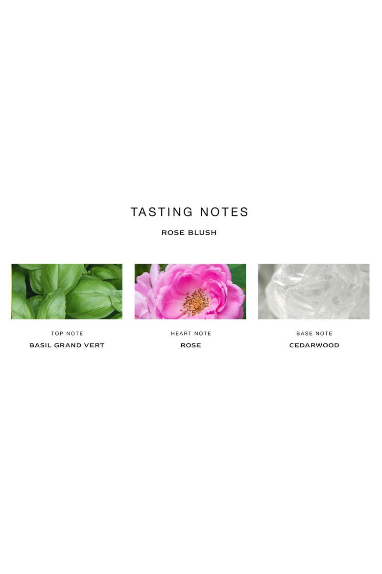 Rose Blush Cologne (Limited Edition), Alternate, color, NO COLOR