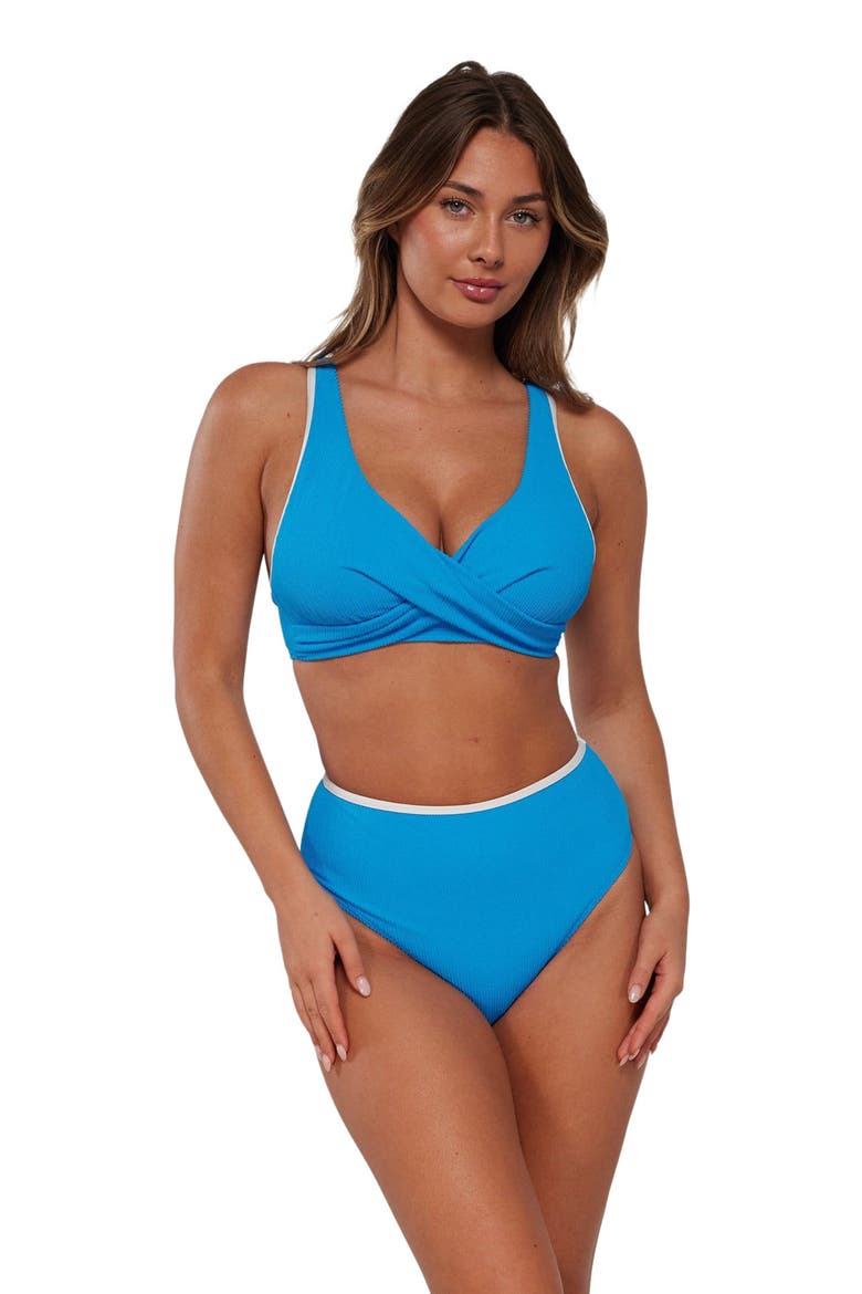 Astrid High Waist Bikini Swim Bottoms, Main, color, Blueberry