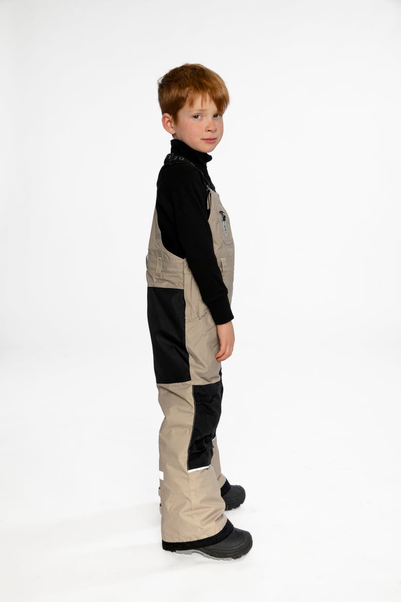 Play Adjustable Suspenders & Reinforced Knees Overall Snow Bib, Alternate, color, Taupe