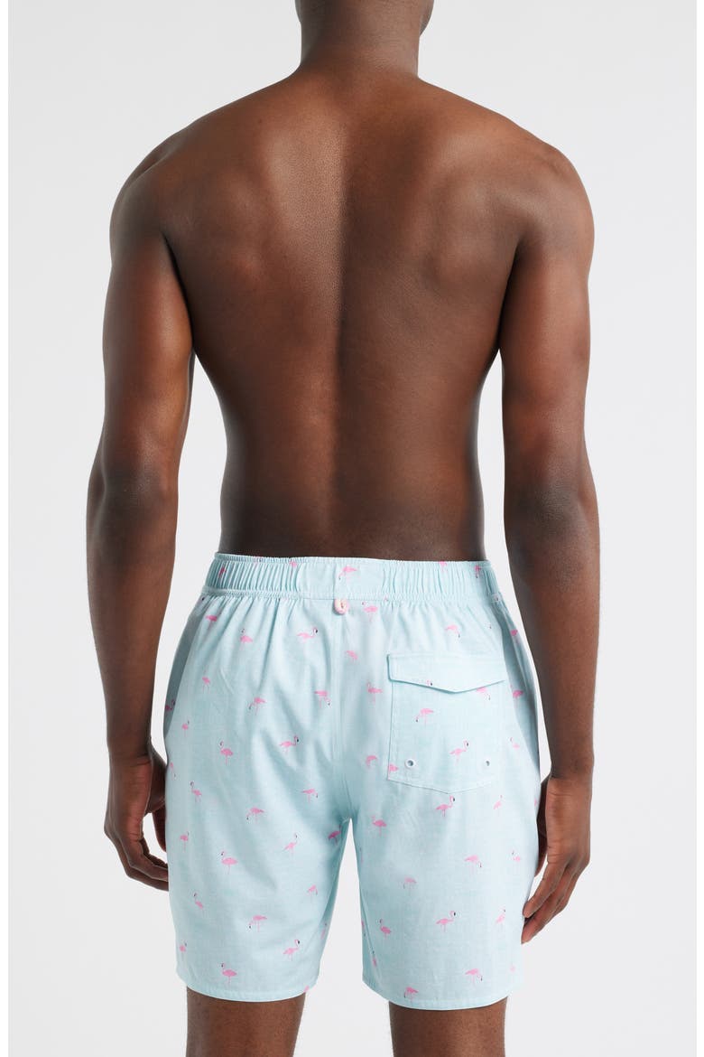 Caladesi Swim Trunks, Alternate, color, SARDINIA