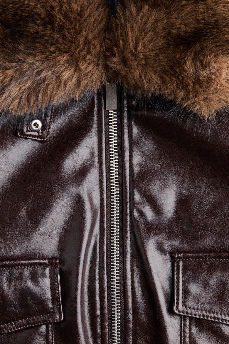 Detachable-collar Coated Jacket, Alternate, color, Dark brown