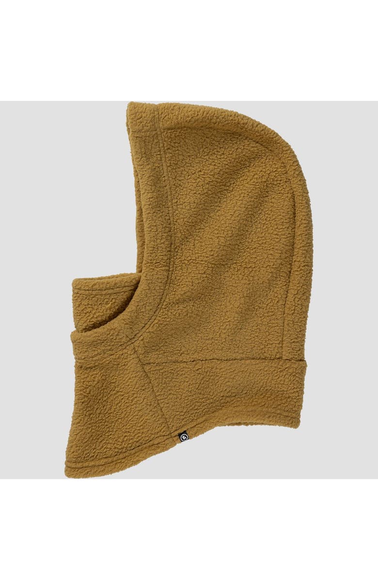 Backcountry Wander Pile-Fleece Hood, Alternate, color, Bistre