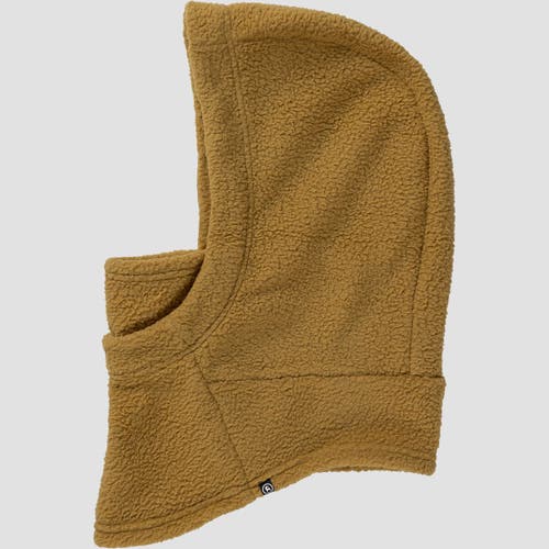 Backcountry Wander Pile-fleece Hood In Green