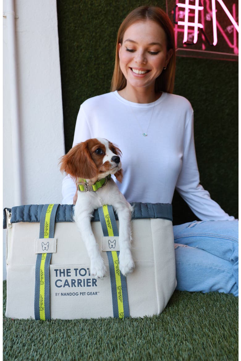 Tote Pet Carrier for Dogs & Cats, Alternate, color, Beige