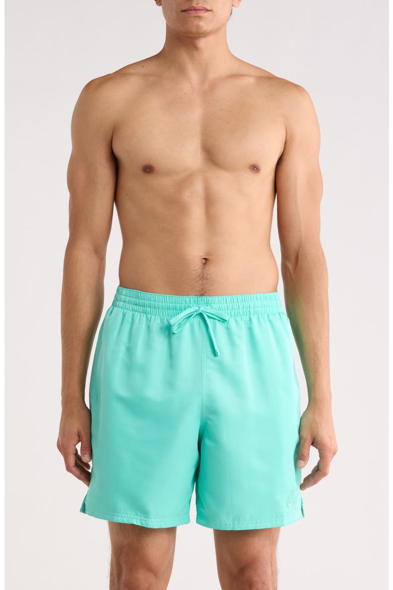 7-Inch Volley Swim Shorts, Main, color, BLEACHED TURQUOISE