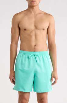 7-Inch Volley Swim Shorts