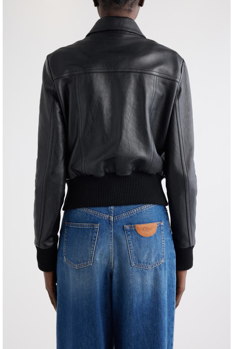 Sheepskin Leather Bomber Jacket, Alternate, color, BLACK
