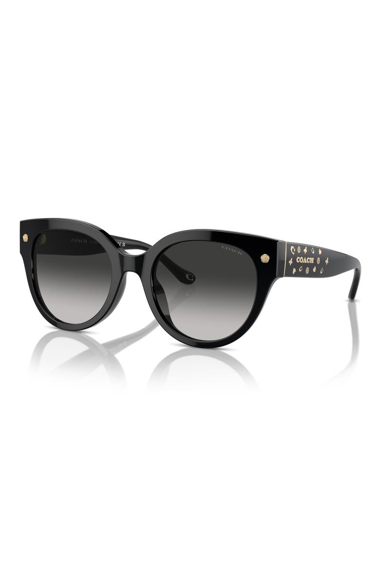 53mm Gradient Round Sunglasses, Alternate, color, BLACK
