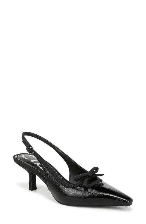 Circus Ny By Sam Edelman Cassidy Pointed Toe Slingback Pump In Black