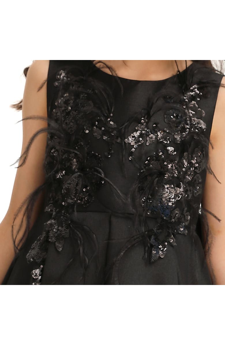 Tulleen Salem Dress, Alternate, color, Black