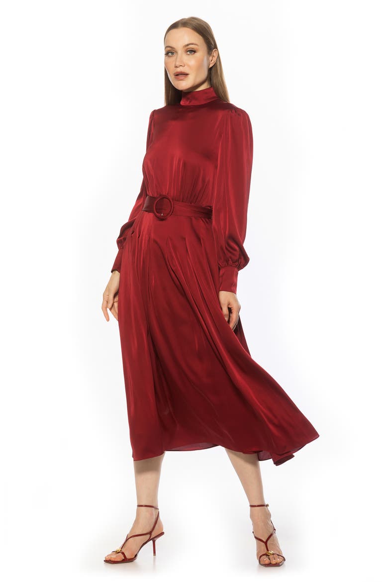 Safiya Long Sleeve Belted Fit & Flare Dress, Alternate, color, BURGUNDY