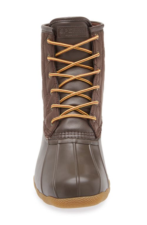 Sperry Saltwater Duck Toe Boot In Brown