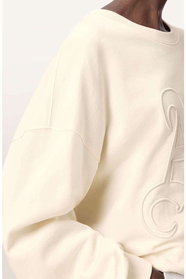 Lila Embroidered Oversize Cotton Sweatshirt, Alternate, color, PEBBLE WHITE