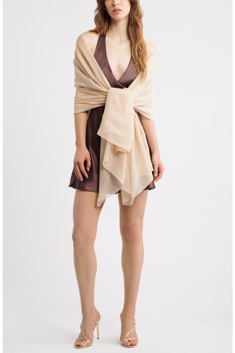 Silk Chiffon Wrap, Alternate, color, CHAMPAGNE