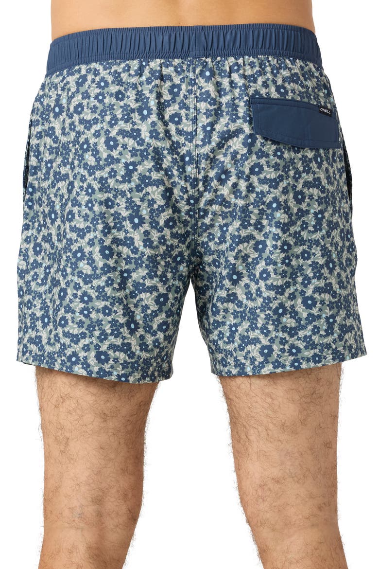 Hermosa Volley Swim Trunks, Alternate, color, SAGE