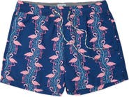 Party Pants Flamingles Party Starter 5-Inch Swim Trunks